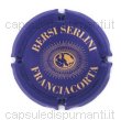 Bersi Serlini