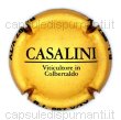 Casalini Andrea