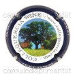 Colle Quercia