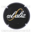 Col Saliz