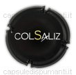 Col Saliz