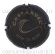 Costaruel
