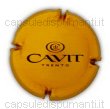 Cavit