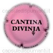 Divinja Cantina
