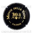 Monte delle Vigne