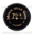 Monte delle Vigne