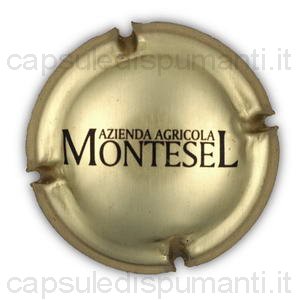 Montesel