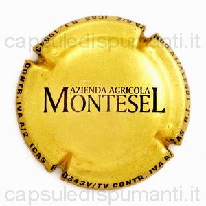 Montesel