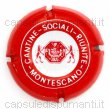 Montescano