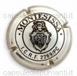 Montesissa