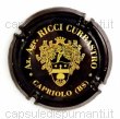 Ricci Curbastro