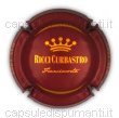 Ricci Curbastro