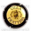 Villa Frattina