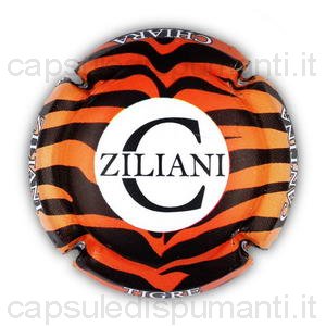 Ziliani Chiara