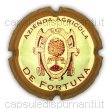 De Fortuna Az. Agricola