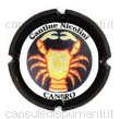 Nicolini Cantine